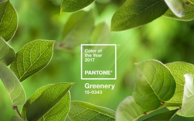 El color de 2017 en diseño de cocinas en Madrid