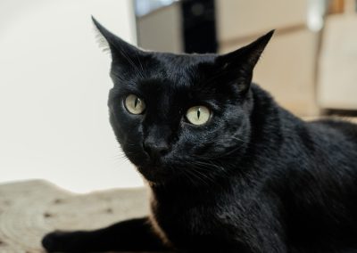 una cocina blanca con isla abierta al salón y la entrada